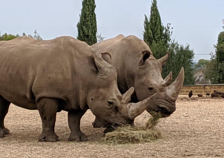 La Barben Zoo (Zoo de la Barben)